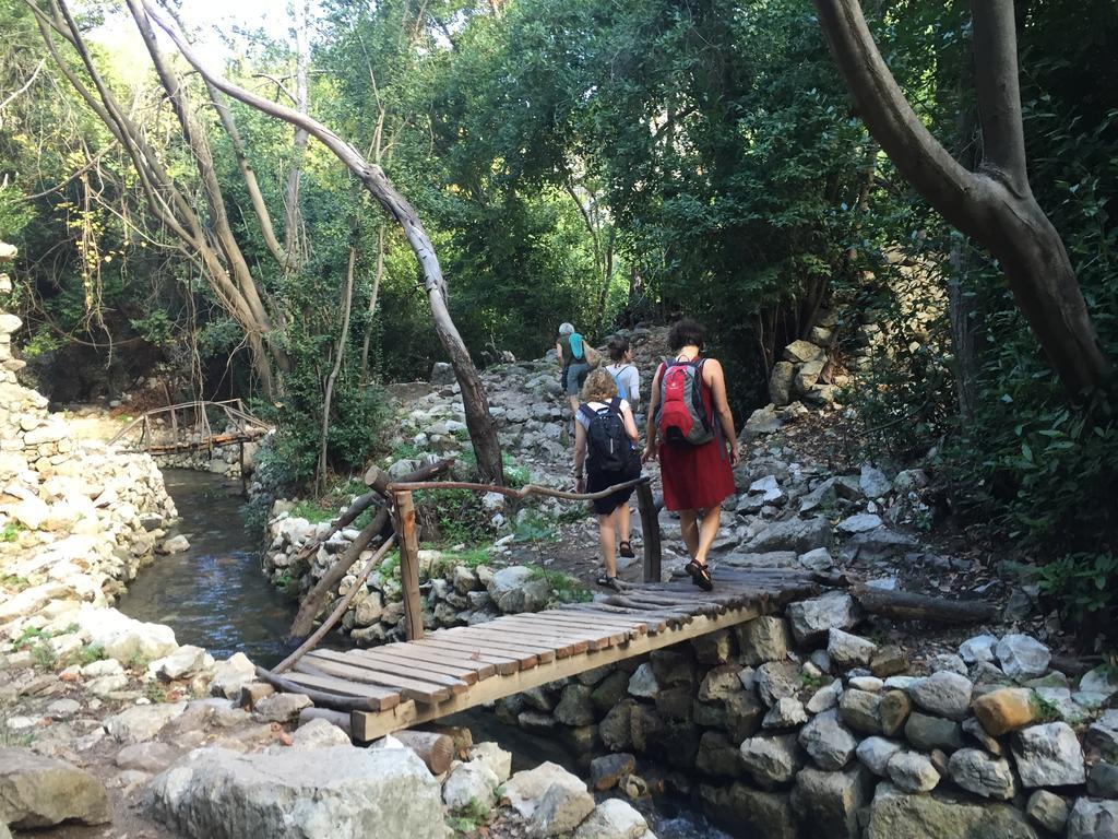 Olympos Mitos Hotel ภายนอก รูปภาพ